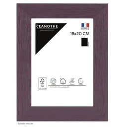 [11070] CADRE 13X18 TUTTI FRUTTI FIGU