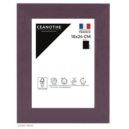 [11072] CADRE 18X24 TUTTI FRUTTI FIGU