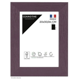 [11073] CADRE 20X30/A4 TUTTI FR. FIGU