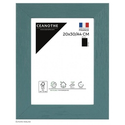 [11081] CADRE 20X30/A4 TUTTI FR MENTH