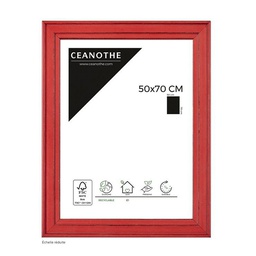 [11104] CADRE 50X70 BELLE ILE ROUGE