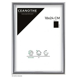 [11125] CM GALLERY ARGENT 18X24