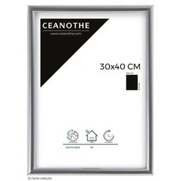 [11129] CM GALLERY ARGENT 30X40