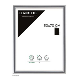 [14677] CM GALLERY ARGENT 50X70