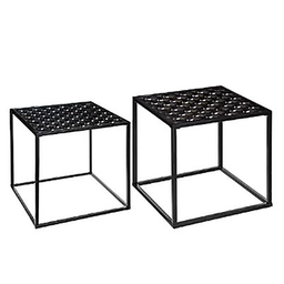 [11290] TABLE CAFE PEACOCK X2