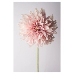 [11598] GLASSART 30X45 POETIC FLOWER