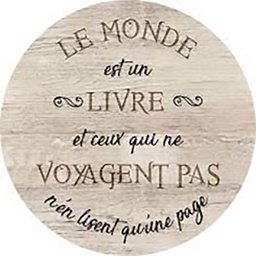[11606] GLASSART ROND 25CM LE MONDE