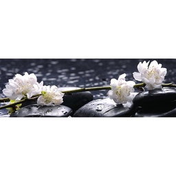 [11637] GLASSART 30X97 FLEURS SUR GALE