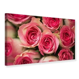 [11668] GLASSART 45X65 ROSE GLACEE