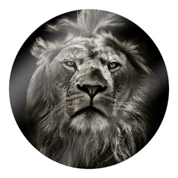 [11680] GLASSART ROND LION 25
