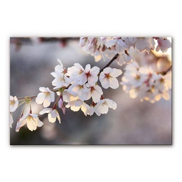 [11699] GLASSART 45X65 BRANCHE FLEUR