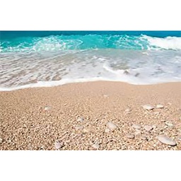 [11714] GLASSART 45X65 VAGUE BORD MER