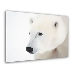 [11727] GLASSART 30X30 PORTRAIT OURS