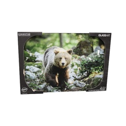[11729] GLASSART 30X45 OURS SAUVAGE