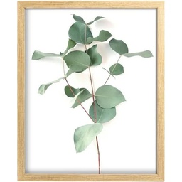 [11834] IMAGE ENCADREE30X40FEUILLE FSC