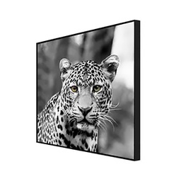[11909] MATE 60X60 LEOPARD 3/4