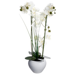 [15159] ORCHIDEE VASE CERAMIQUE BLANC H 53