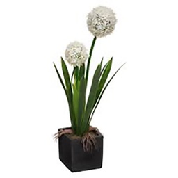 [12249] POMPON POT CIMENT H47
