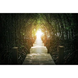 [12297] REGART 65X97 WOODEN BRIDGE
