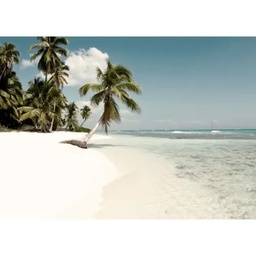 [12303] REGART 80X120 TROPICAL BEACH