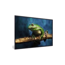 [12305] REGART 80X120 GRENOUILLE CACH