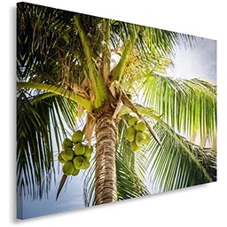 [12308] REGART 80X120 GREEN PALM