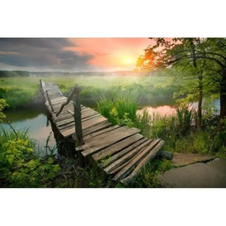 [12313] REGART 65X97 NATURAL SUNSET