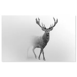 [12332] REGART 80X120 PORTRAIT CERF