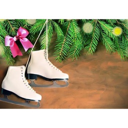 [12847] SUJET DE NOEL RESIN PATIN BRANCHE G16CM