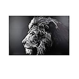 [12953] TOILE IMPRIME LION 78X118