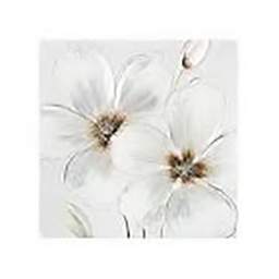 [112015] TOILE PEI/RE FLEURS 48X48