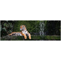 [13010] TOILE 30X97 TIGRE DU BENGALE