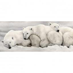 [13012] TOILE 30X97 FAMILLE OURS