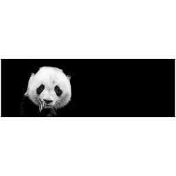 [13013] TOILE 30X97 PANDA
