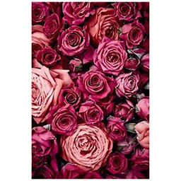 [13059] TOILE 65X97 MULTI ROSES