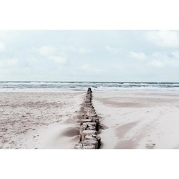 [13079] TOILE 30X45 CHEMIN DE TRONC