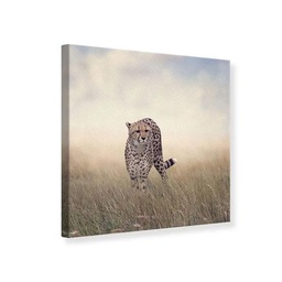[13100] TOILE 30X30 GUEPARD