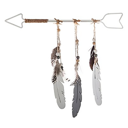 [13206] DECORATION MURALE FLECHE PLUME 40X38