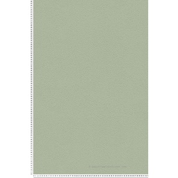 [13710] PAPIER PEINT PV INTERIEUR UNI BERING LICHEN