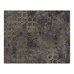 [13716] PAPIER PEINT PV INTERIEUR URBAN GRACE GRAPHITE OR