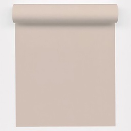 [13717] PAPIER PEINT EXP INTERIEUR UNI PAILLETTES BEIGE
