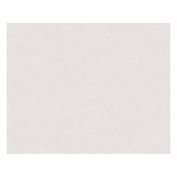 [13732] PAPIER PEINT PV INTERIEUR UNI STUCCO ECRU