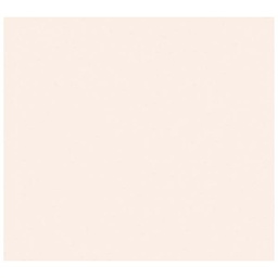 [13753] PAPIER PEINT PV INTERIEUR PARIS UNI BLUSH