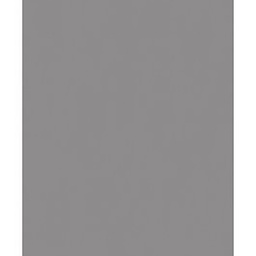 [13770] PAPIER PEINT PV INTERIEUR BERING SOURIS LISSE