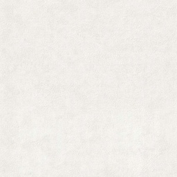 [13778] PAPIER PEINT EXP UNI BRUGES ECRU