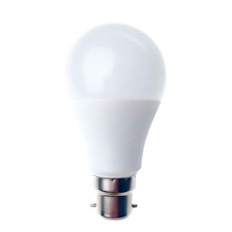 [16158] AMPOULE A60 OPAQUE SMD - E27 1055LM 2700K 12W