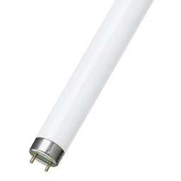 [17636] LAMPE TUBE FLUO 1,2M 36W