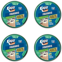 [19159] KAPO BOITE FOURMIS MAXI X4 BOX
