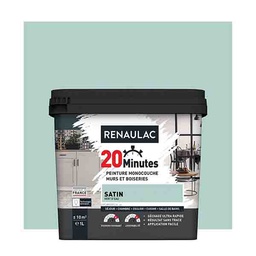 [110423] RENAULAC 20MN MURS ET BOISERIES SATINE VERT D EAU 1L