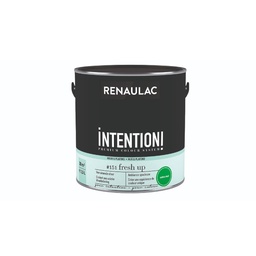 [110469] RENAULAC INTENTION MUR &amp; PLAFOND EXTRA MAT FRESH UP 1L